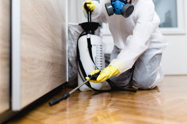 Best Ant Control Services  in Maud, TX