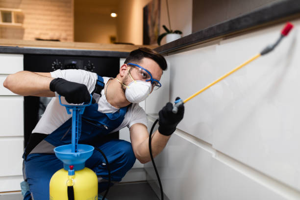 Best Termite Control Services  in Maud, TX