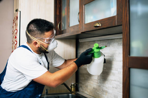 Best Exterminator Services  in Maud, TX