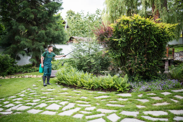 Best Affordable Pest Control Services  in Maud, TX