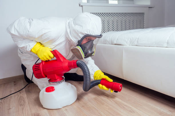 Best Flea Control Services  in Maud, TX