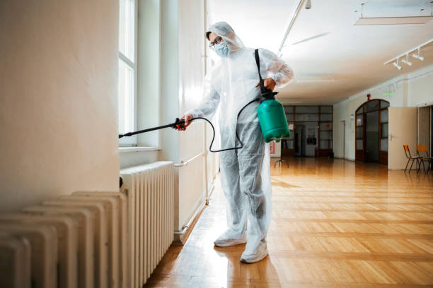 Best Pest Removal Services  in Maud, TX