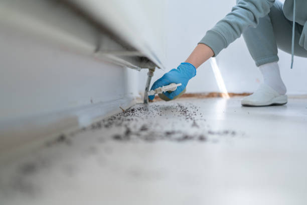 Best Pest Removal Services  in Maud, TX