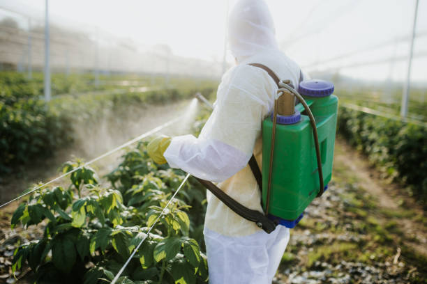 Best Best Pest Control Companies  in Maud, TX
